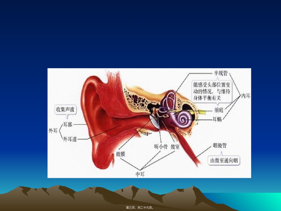 2022年医学专题—.儿童听力障碍.ppt_第3页