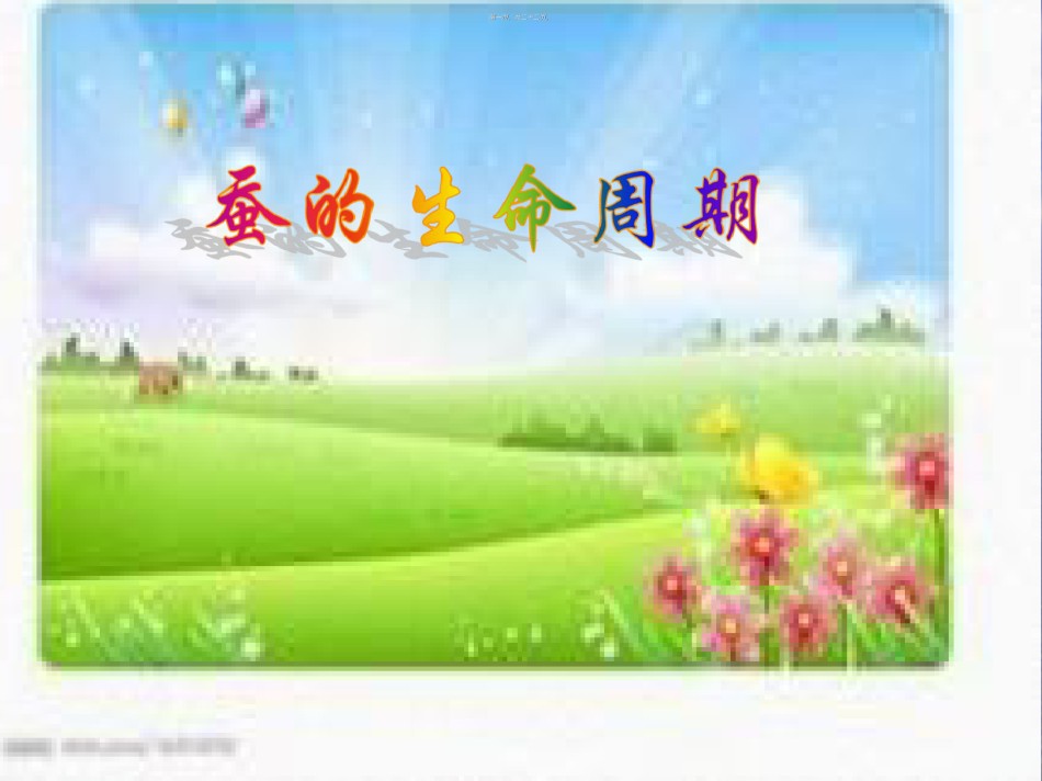 2022年医学专题—.蚕的生命周期.ppt_第1页