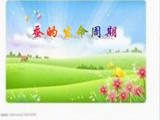 2022年医学专题—.蚕的生命周期.ppt