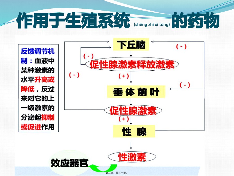 2022年医学专题—.第七章-生殖系统药理-陈海兰.pptx_第2页