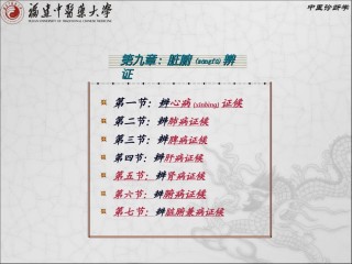 2022年医学专题—.第九章-脏腑辨证.ppt