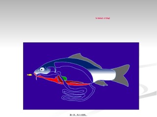2022年医学专题—.消化系统.ppt