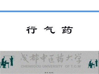 2022年医学专题—.行气药详解.ppt