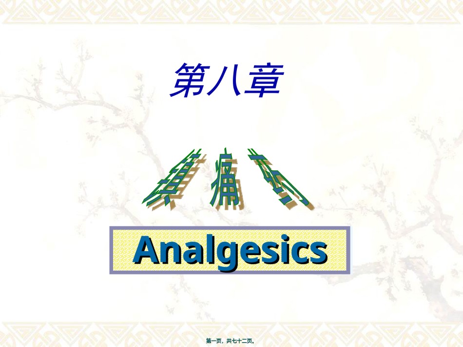 2022年医学专题—.镇痛药汇总.ppt_第1页