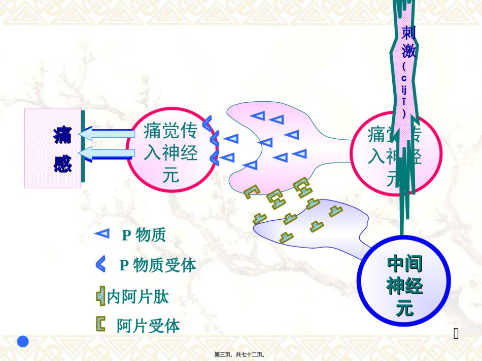 2022年医学专题—.镇痛药汇总.ppt_第3页