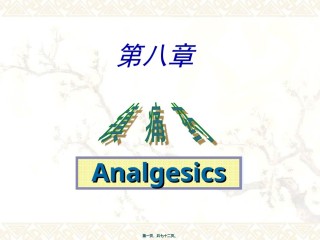 2022年医学专题—.镇痛药汇总.ppt