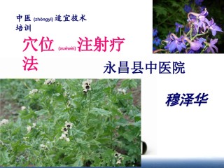 2022年医学专题—.穴位注射疗法.ppt