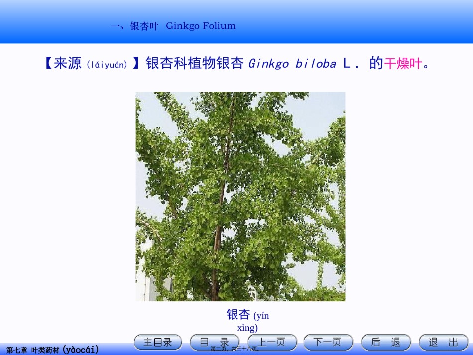 2022年医学专题—.叶类药材详解.ppt_第2页