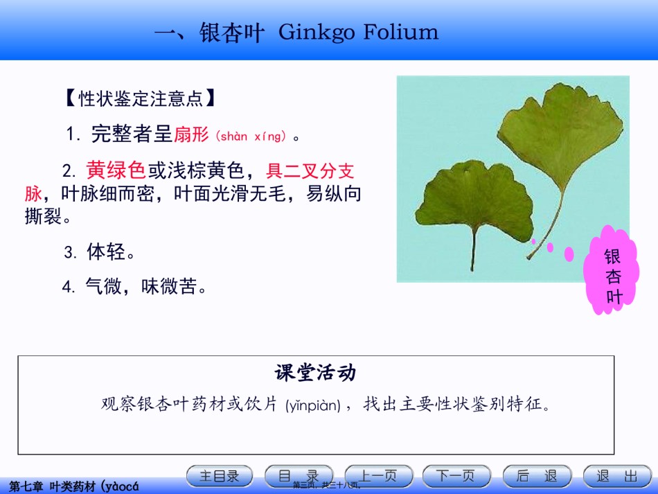 2022年医学专题—.叶类药材资料.ppt_第3页