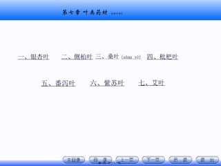 2022年医学专题—.叶类药材资料.ppt