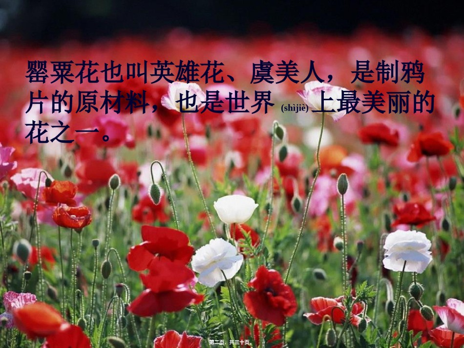 2022年医学专题—“健康人生-绿色无毒”.ppt_第2页