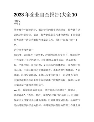 2023年企业自查报告(大全10篇)