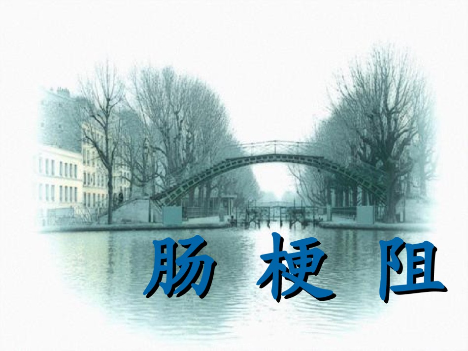 2022年医学专题—[普外]肠梗阻2.ppt_第1页