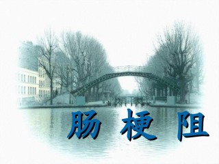 2022年医学专题—[普外]肠梗阻2.ppt