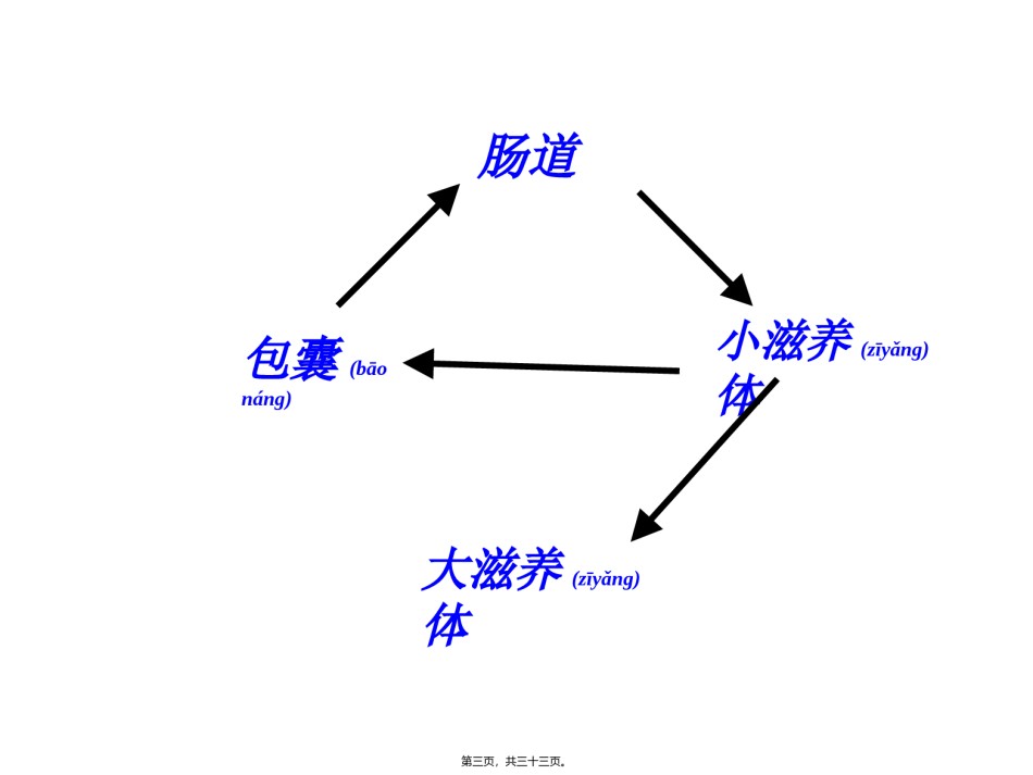 2022年医学专题—[所有分类]抗阿米巴虫驱肠虫药.ppt_第3页