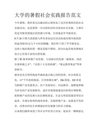 大学的暑假社会实践报告范文