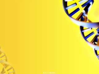 2022年医学专题—《病例讨论分析》ppt件.ppt