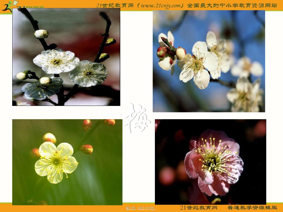 2022年医学专题—《病梅馆记》ppt.ppt_第2页