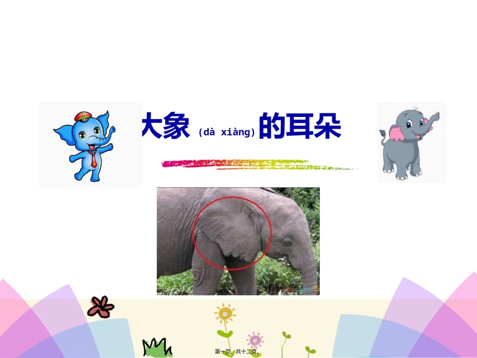 2022年医学专题—《大象的耳朵》.pptx_第1页