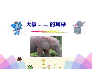 2022年医学专题—《大象的耳朵》.pptx