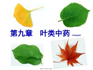 2022年医学专题—《花叶类药材》ppt件.ppt