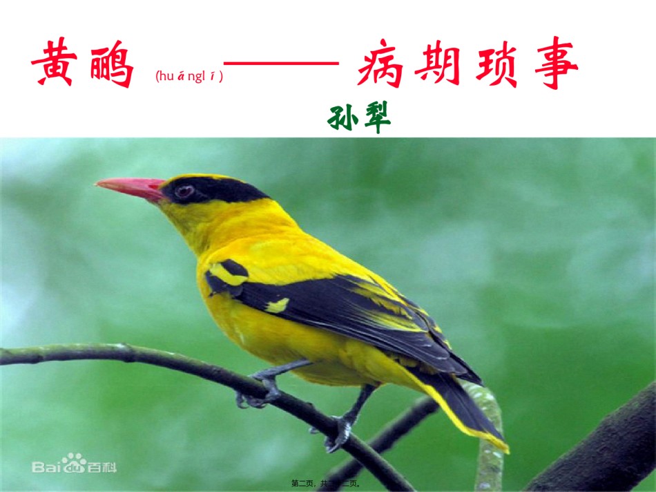 2022年医学专题—《黄鹂——病期琐事》.ppt_第2页