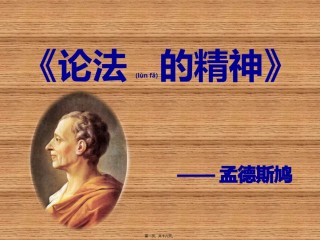 2022年医学专题—《论法的精神》书评.pptx