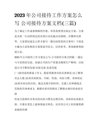 2023年公司接待工作方案怎么写 公司接待方案文档(三篇)