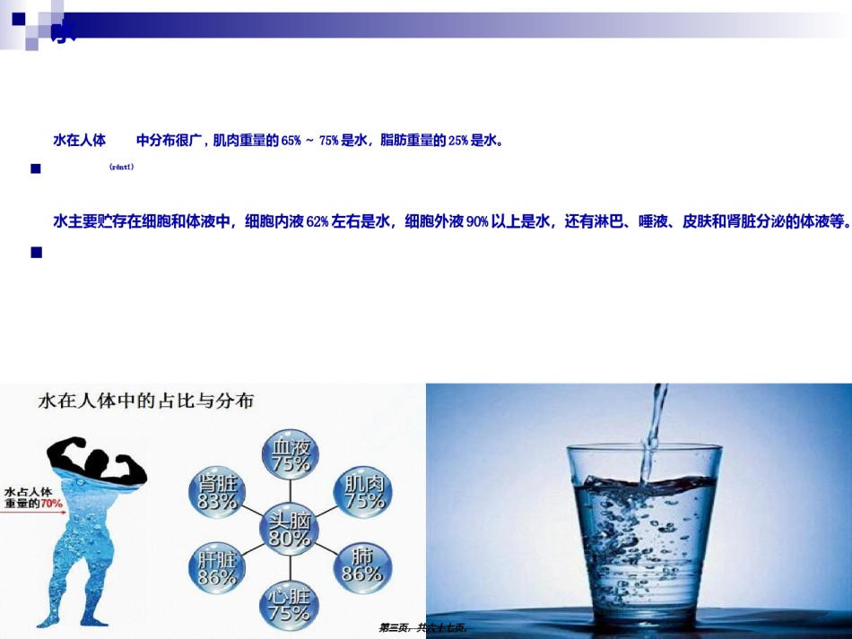 2022年医学专题—《烹饪营养学》-第十四讲-水与谷类原料的营养价值--2017版.ppt_第3页