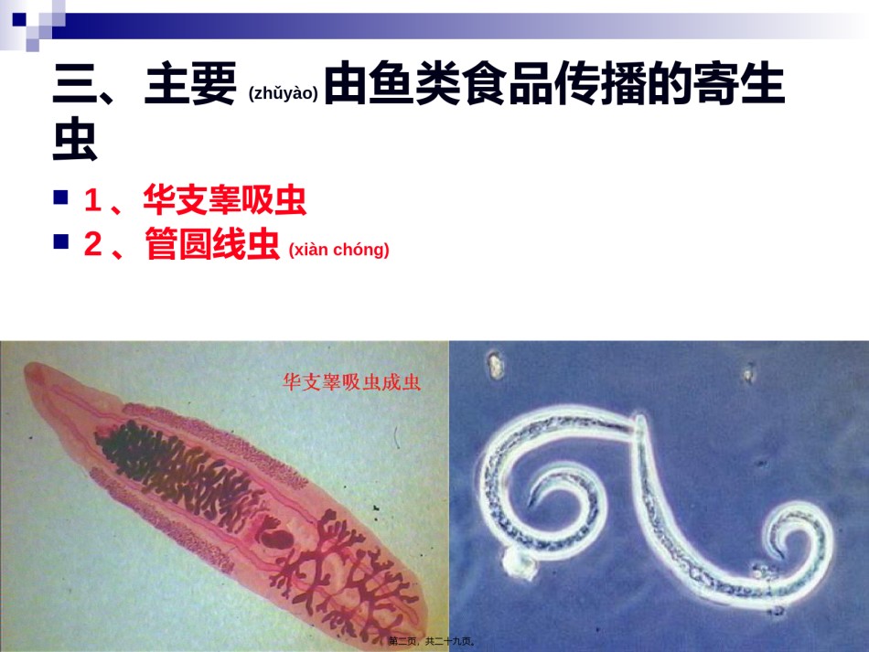 2022年医学专题—《烹饪营养与卫生》-第十六讲-食源性寄生虫病及其控制B-2012优化版.ppt_第2页