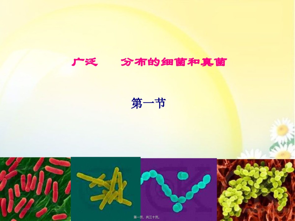 2022年医学专题—.1-细菌和真菌的分布ppt.ppt_第1页
