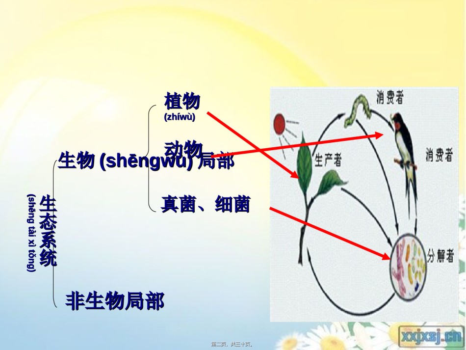 2022年医学专题—.1-细菌和真菌的分布ppt.ppt_第2页