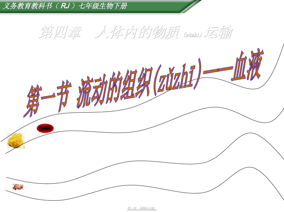 2022年医学专题—.1-流动的组织——血液(共45张PPT).ppt_第1页
