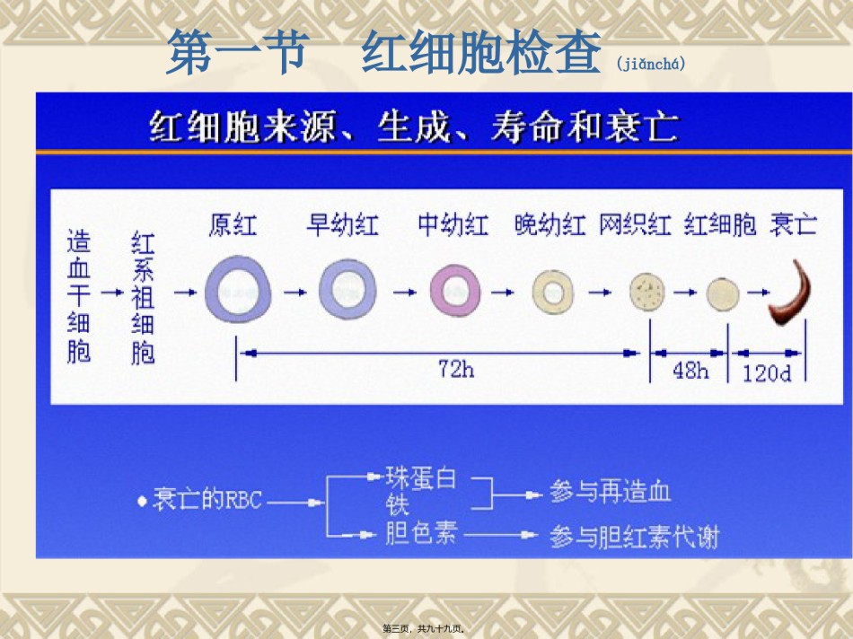 2022年医学专题—、血液学检验.ppt_第3页