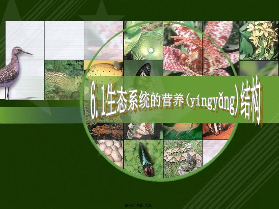 2022年医学专题—.1-生态系统的营养结构(最终).ppt_第1页