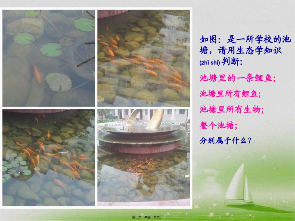 2022年医学专题—.1-生态系统的营养结构(最终).ppt_第2页
