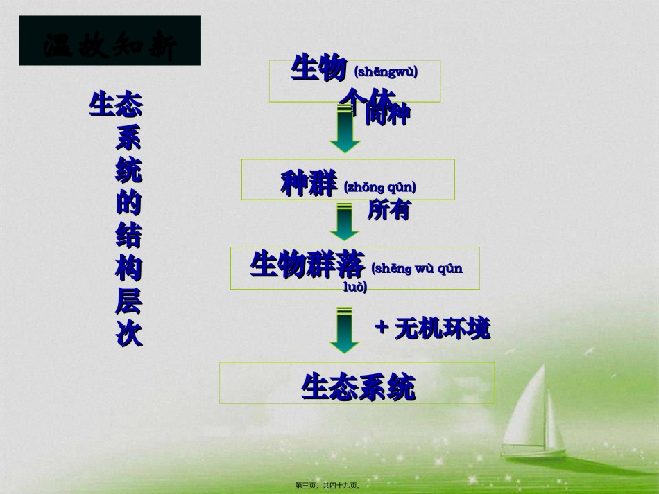 2022年医学专题—.1-生态系统的营养结构(最终).ppt_第3页
