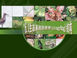 2022年医学专题—.1-生态系统的营养结构(最终).ppt