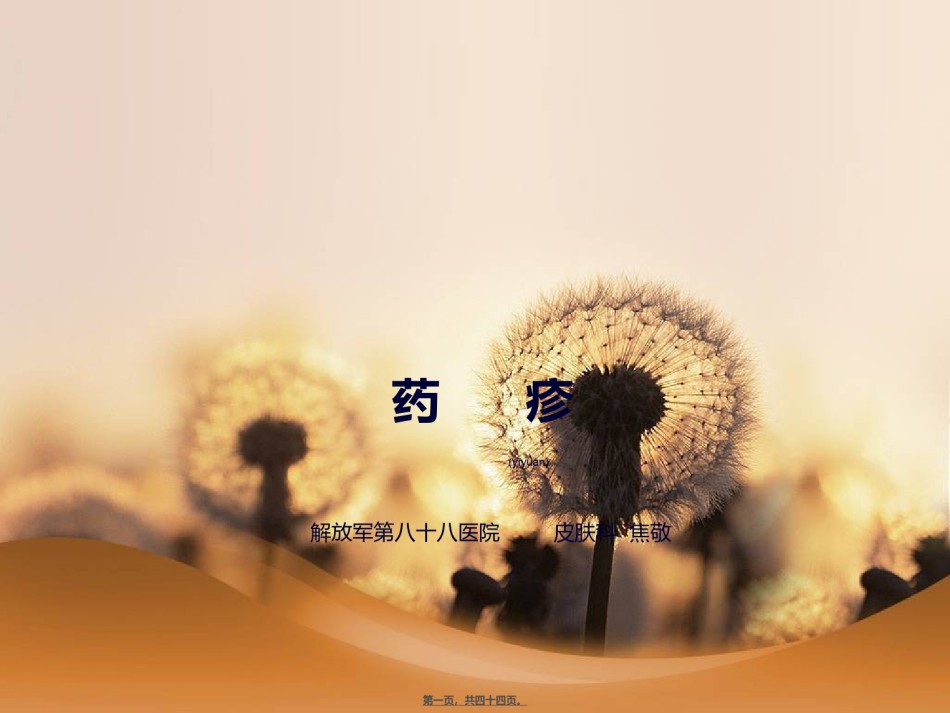 2022年医学专题—、药疹--已讲.ppt_第1页