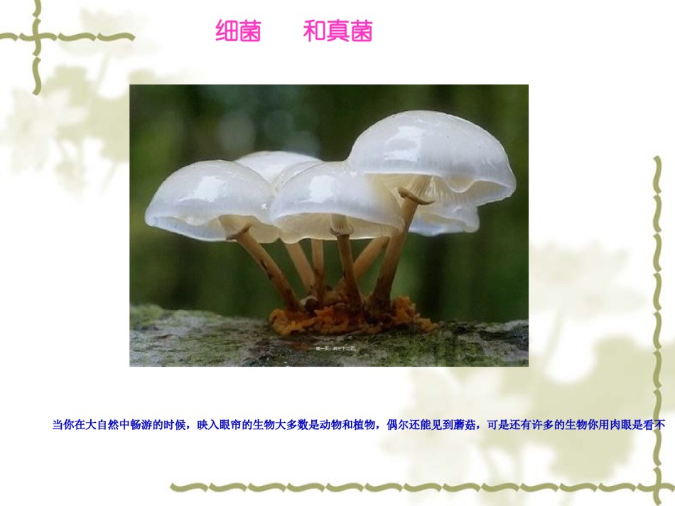 2022年医学专题—.1-细菌和真菌的分布(2018).ppt_第1页