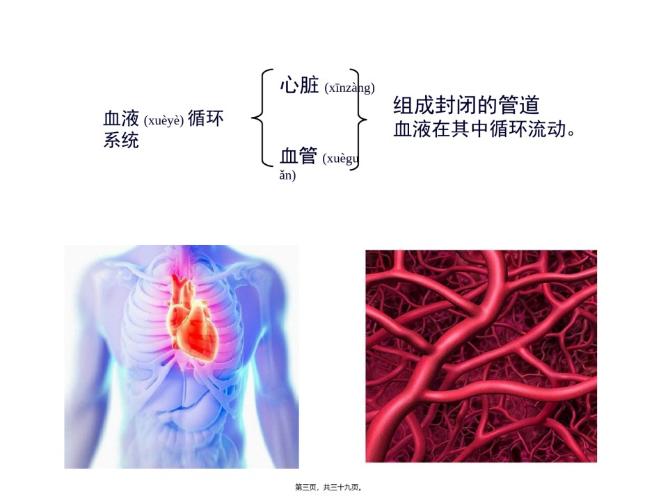2022年医学专题—.1-血液.ppt_第3页