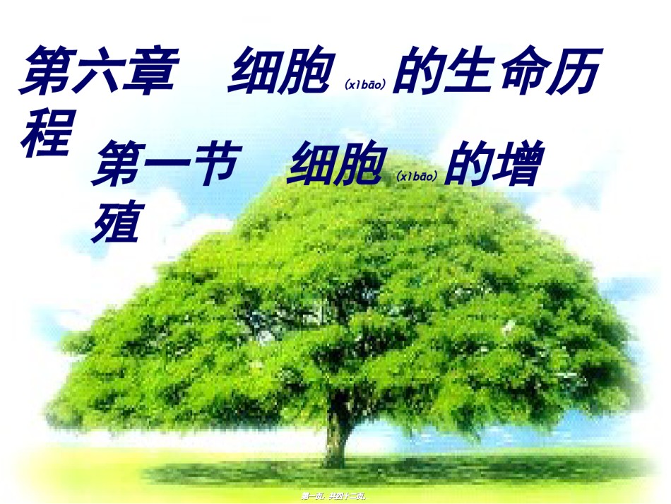 2022年医学专题—.1细胞的增殖好动画.ppt_第1页