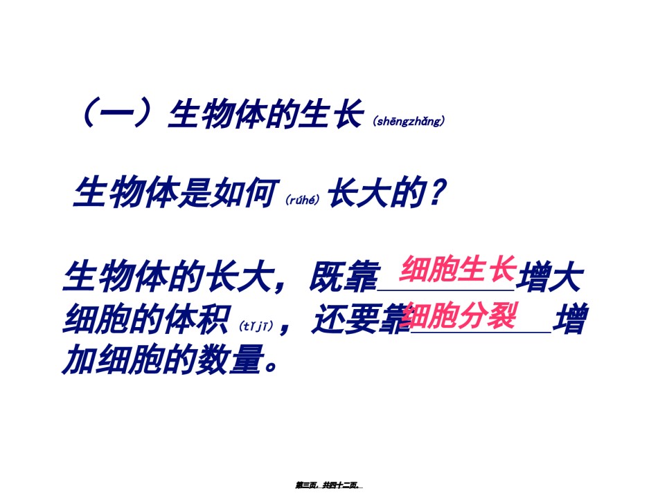 2022年医学专题—.1细胞的增殖好动画.ppt_第3页