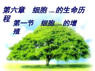 2022年医学专题—.1细胞的增殖好动画.ppt