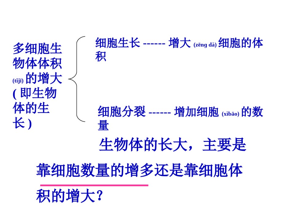 2022年医学专题—.1细胞增殖.ppt_第2页