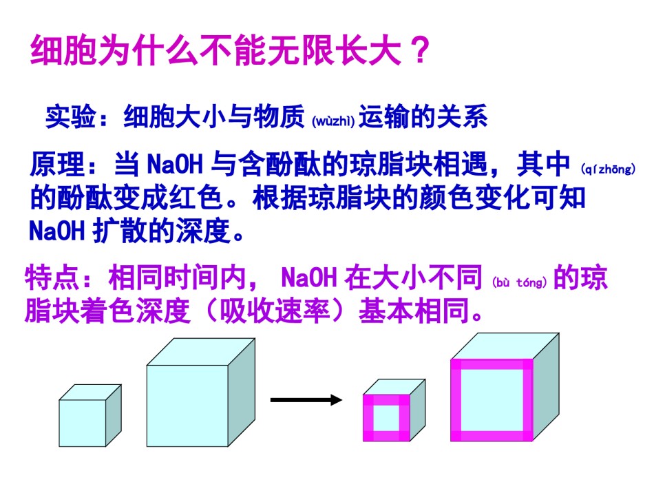 2022年医学专题—.1细胞增殖.ppt_第3页