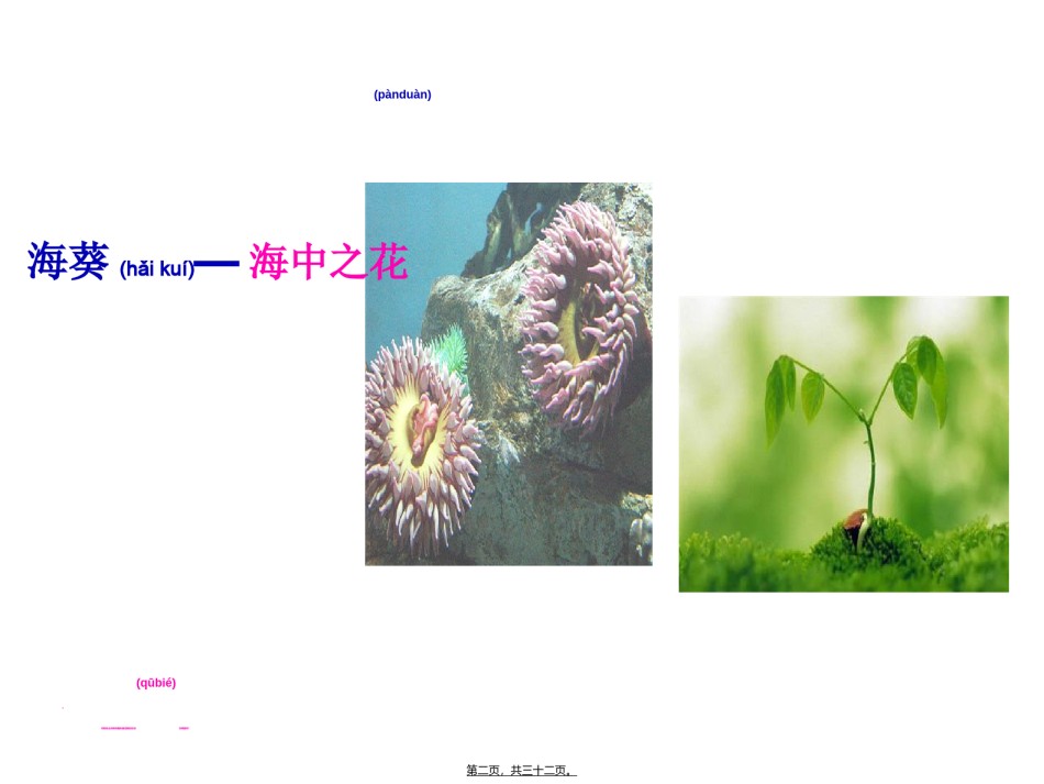 2022年医学专题—.1.1腔肠动物和扁形动物(31张PPT)(1).ppt_第2页