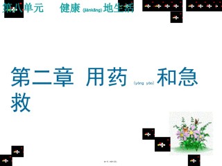 2022年医学专题—.2用药和急救ppt.ppt