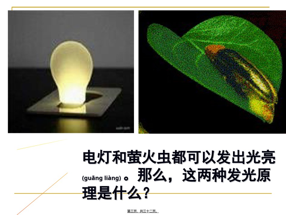 2022年医学专题—.2细胞的能量“通货”-ATP(优质课).ppt_第2页