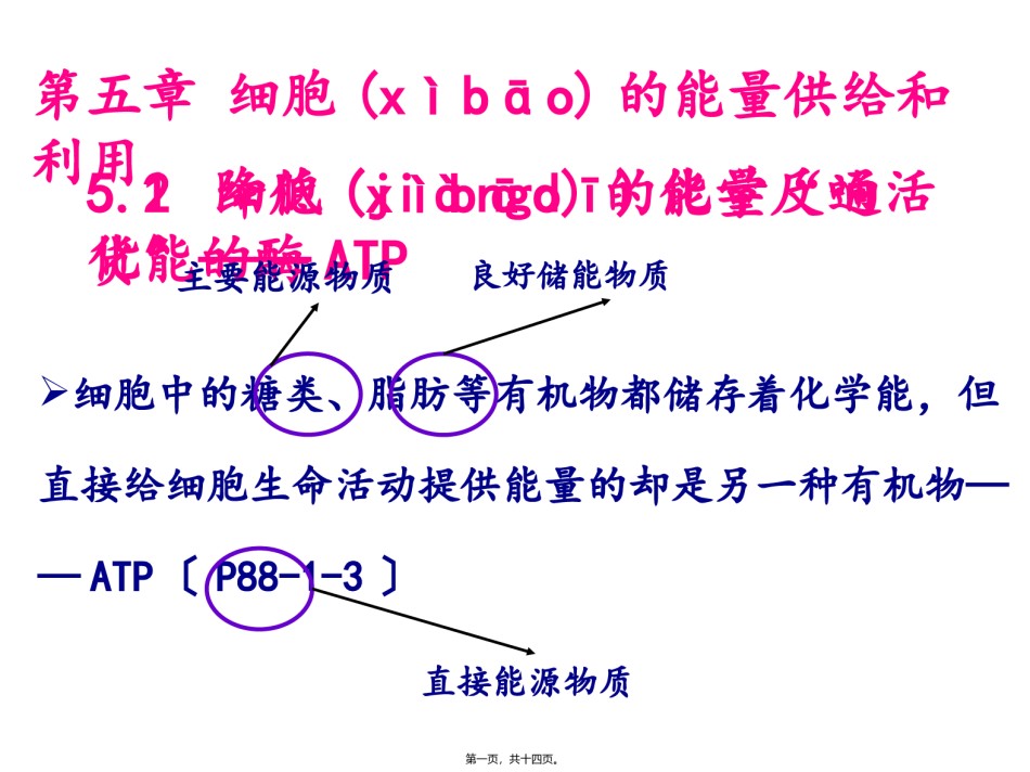 2022年医学专题—.2细胞的能量“通货”——ATP.ppt_第1页